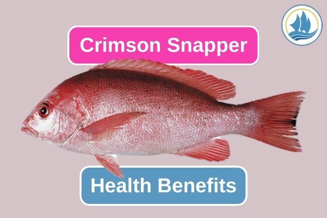 5 Health Benefits You Can Get From Crimson Snapper